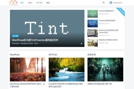 WordPress新主题Tint Pro版，无域名限制，附组件