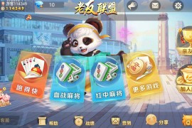 熊猫 奇迹 微乐3UI 授权工具永久出售