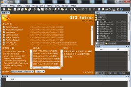 十六进制编辑器(010 Editor) 中文绿色版