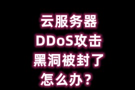 服务器 DDoS 攻击黑洞被封了怎么办？