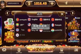 海外系列黑金版119个游戏/13国语言/h5+app游戏电玩城/后台带控制/游戏可定制/最全棋牌游戏源码