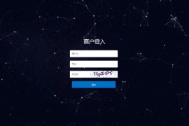 手工代付系统/api代付系统/代付系统源码