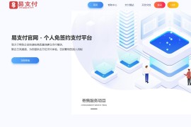 带USDT通道易支付系统网站源码 易支付源码运营版无后门