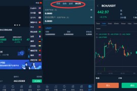 多语言交易所/12国语言/秒合约/申购/锁仓/K线完整/脚本最全/带教程/日夜模式