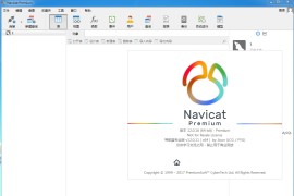 Navicat Premium 120 双数据库管理软件破解注册版 支持MYSQL＋MSSQL